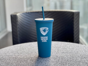 Double wall matte acrylic cup with lid and straw